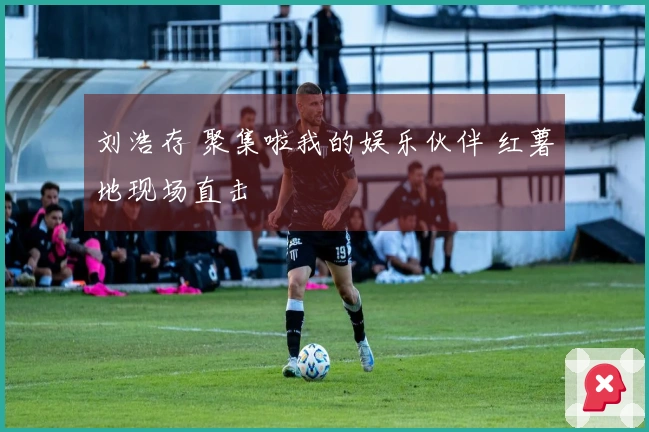 刘浩存 聚集啦我的娱乐伙伴 红薯地现场直击